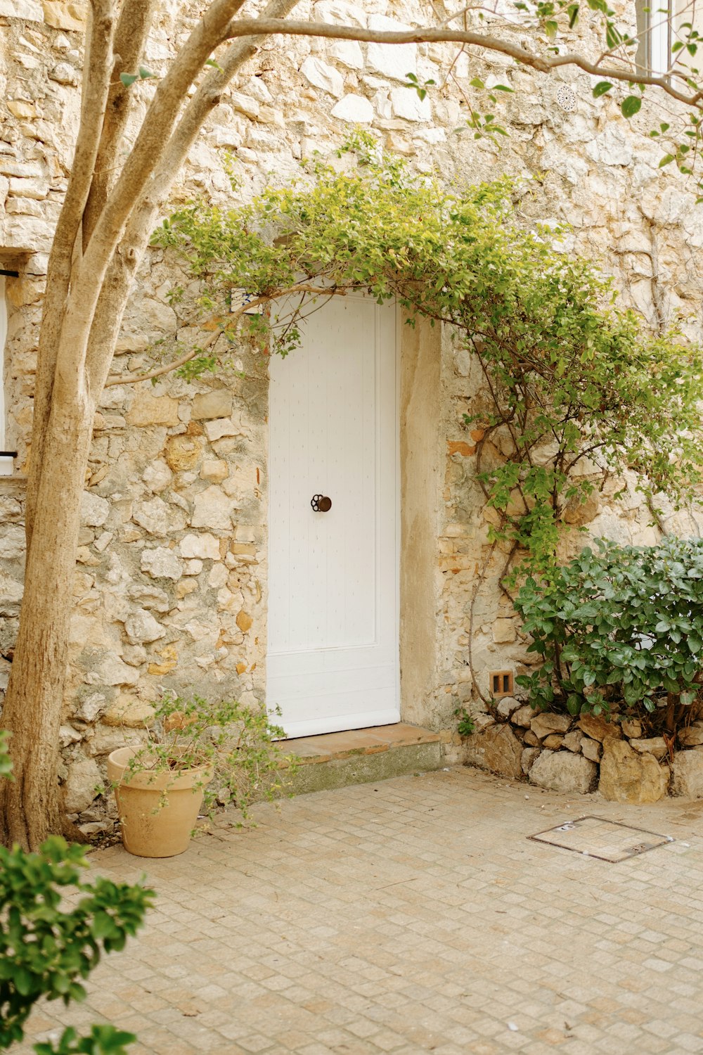 a white door sitting next to a tree