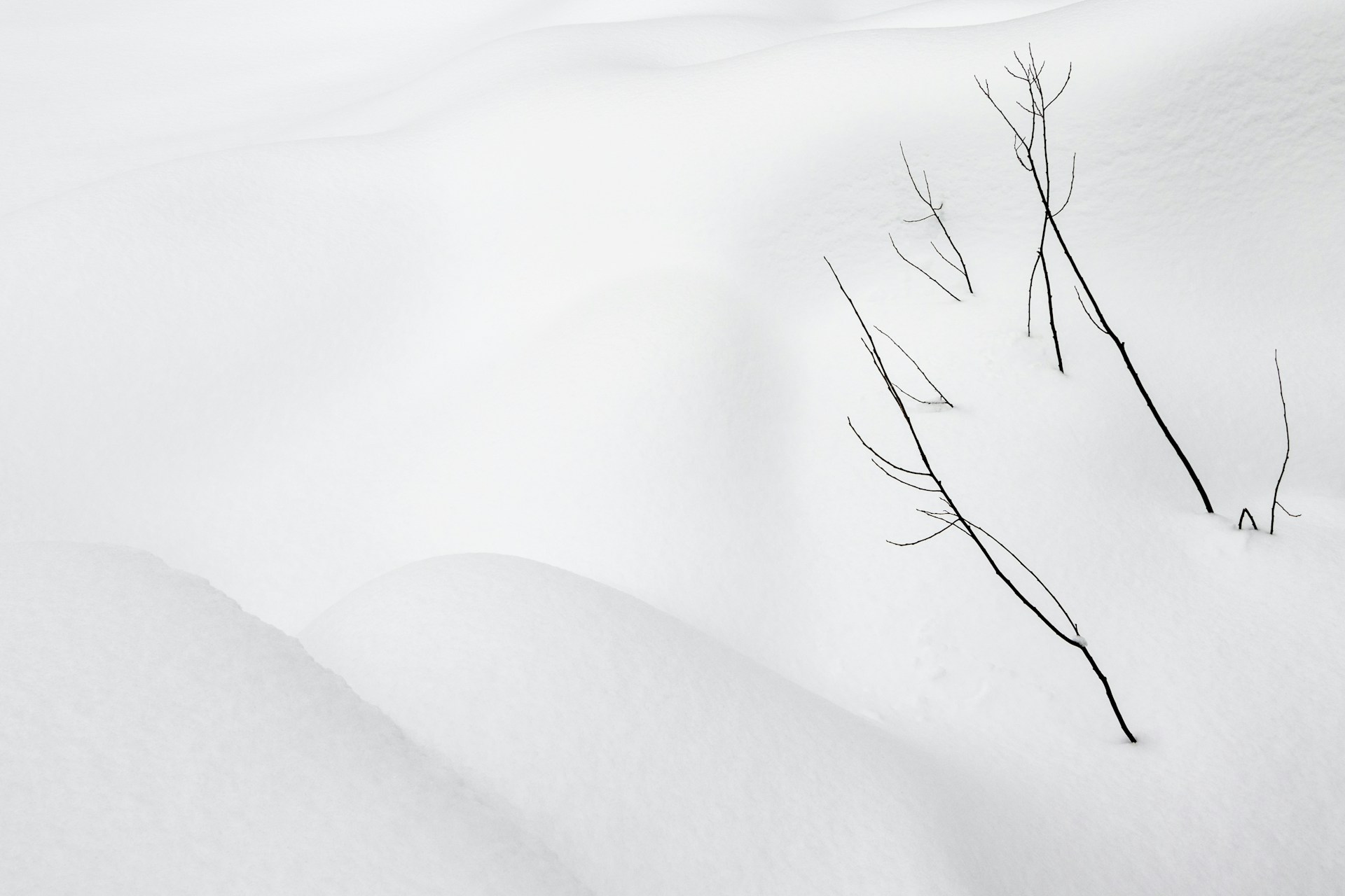a snow covered field with trees in the middle of it
