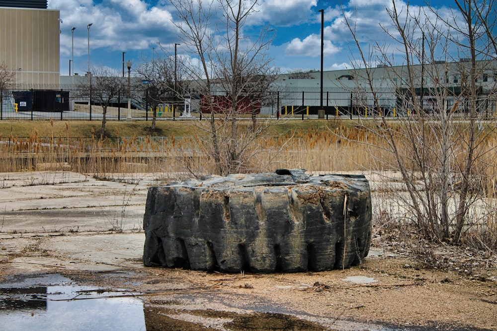 a tree stump sitting in the middle of a field