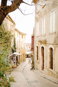 a cobblestone street in a small town