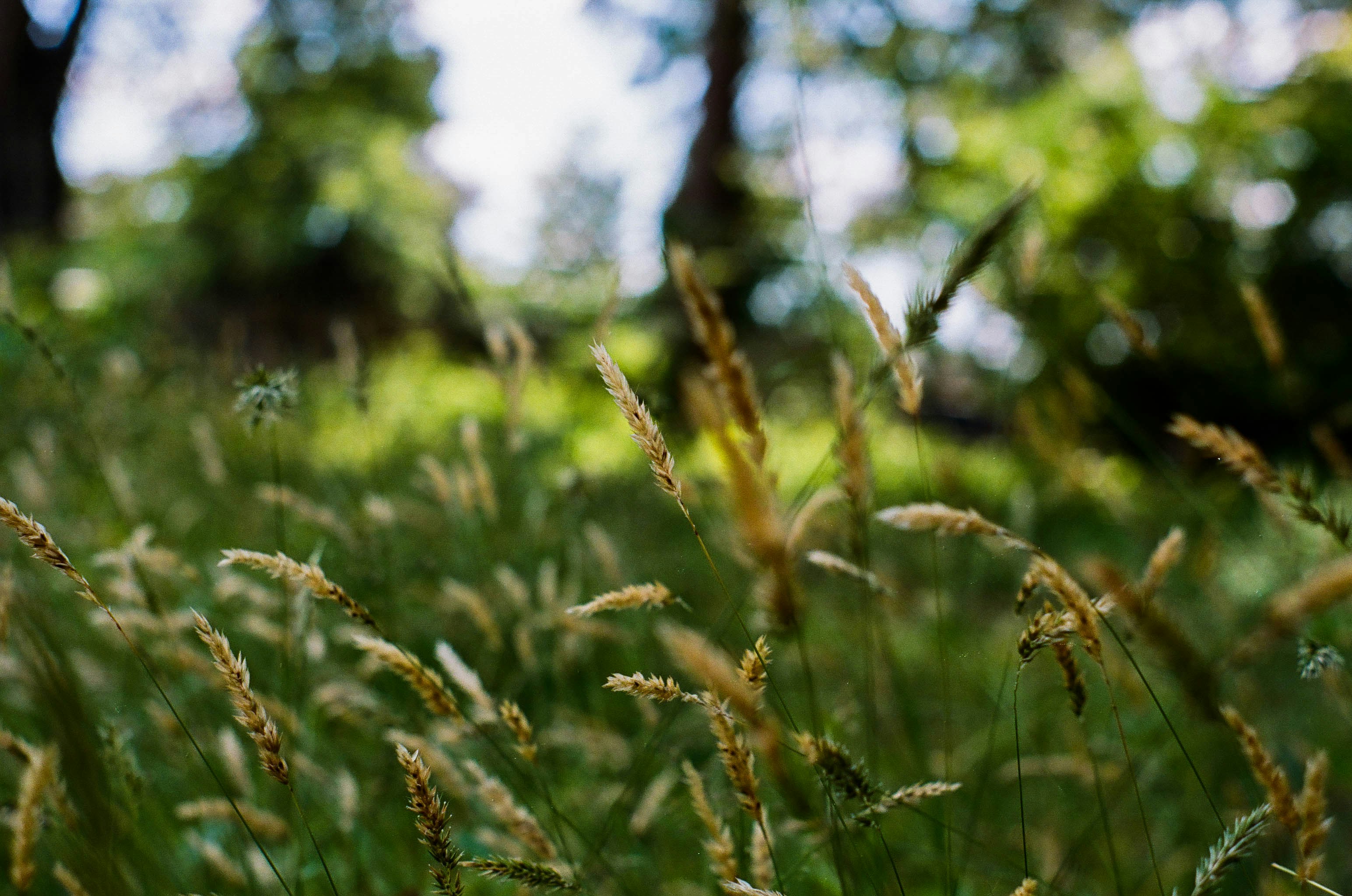 Photo by marcpagliuca