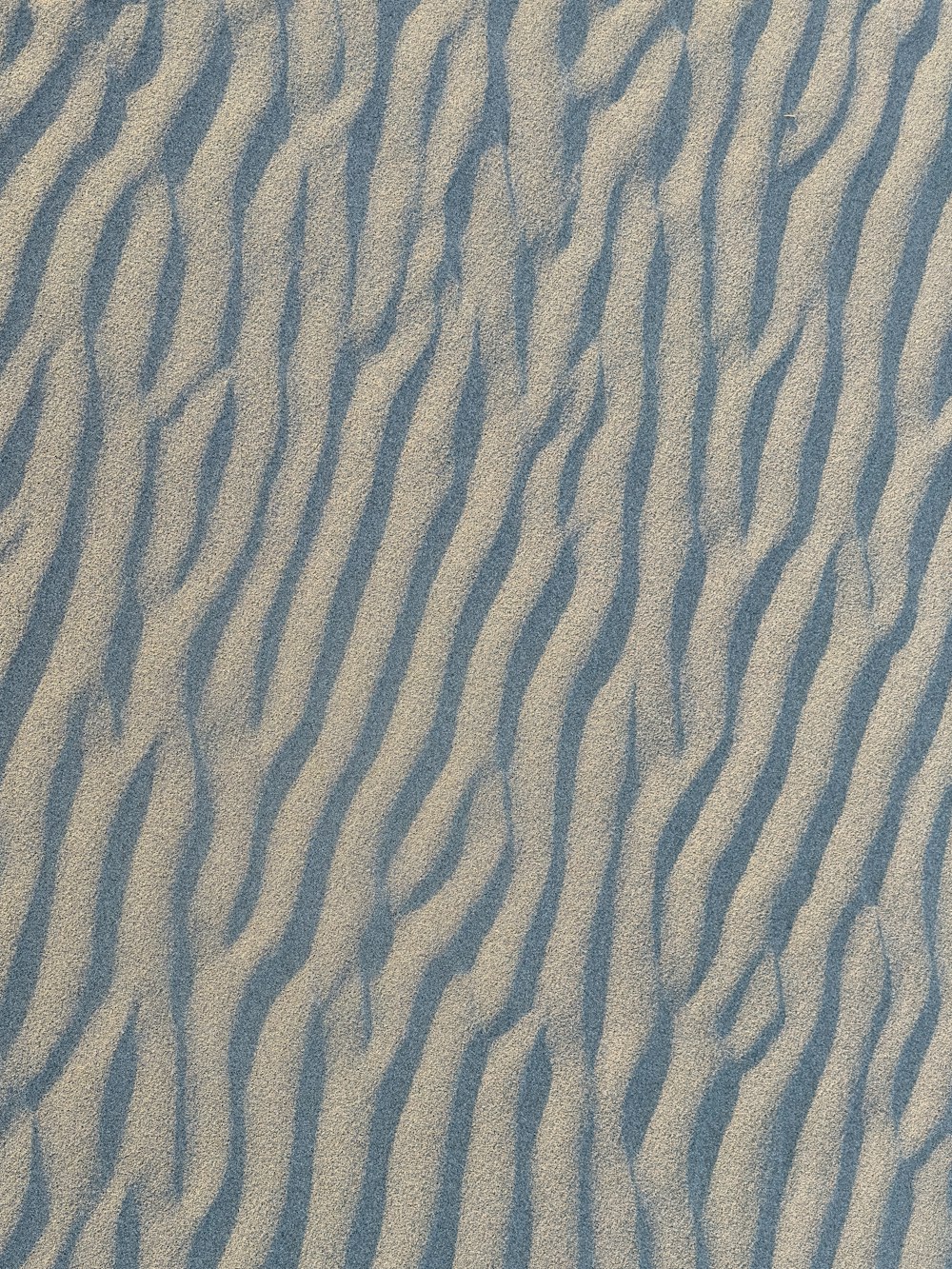 a bird is flying over a sand dune