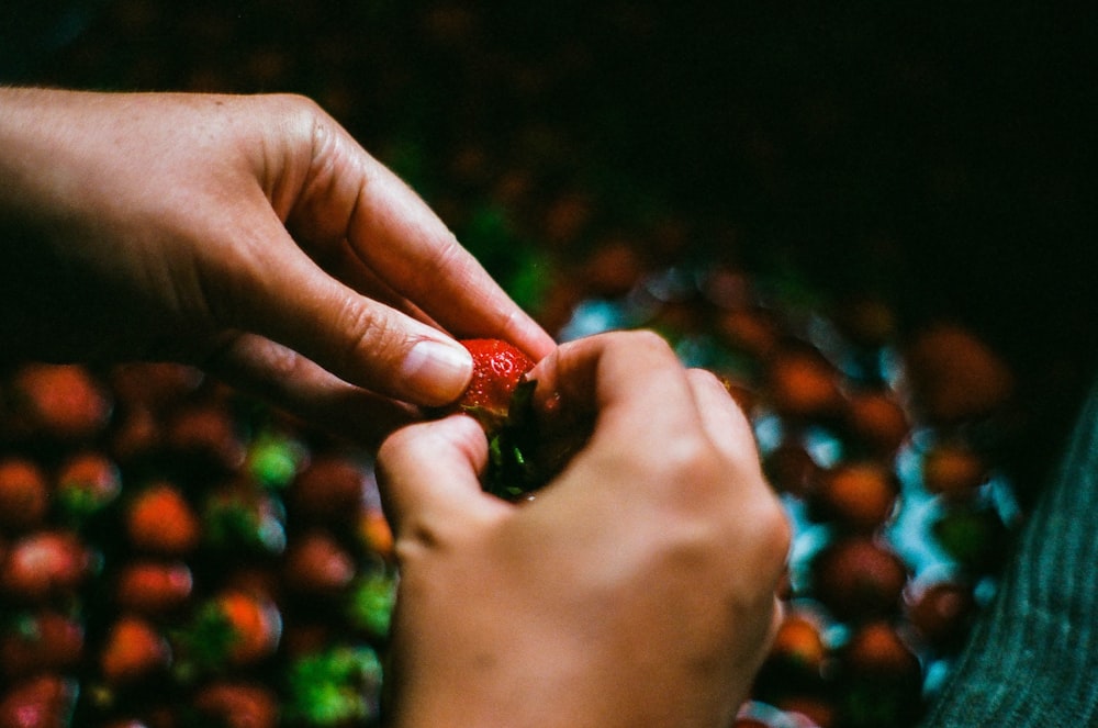 a person holding a piece of fruit in their hand