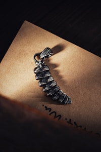 A silver pendant in the shape of a curved spine lies on a brownish card or paper stand. The pendant has detailed segmentations mimicking vertebrae, and its metallic surface reflects light in an elegant manner. There is a shadow cast by the pendant, emphasizing its three-dimensional form.