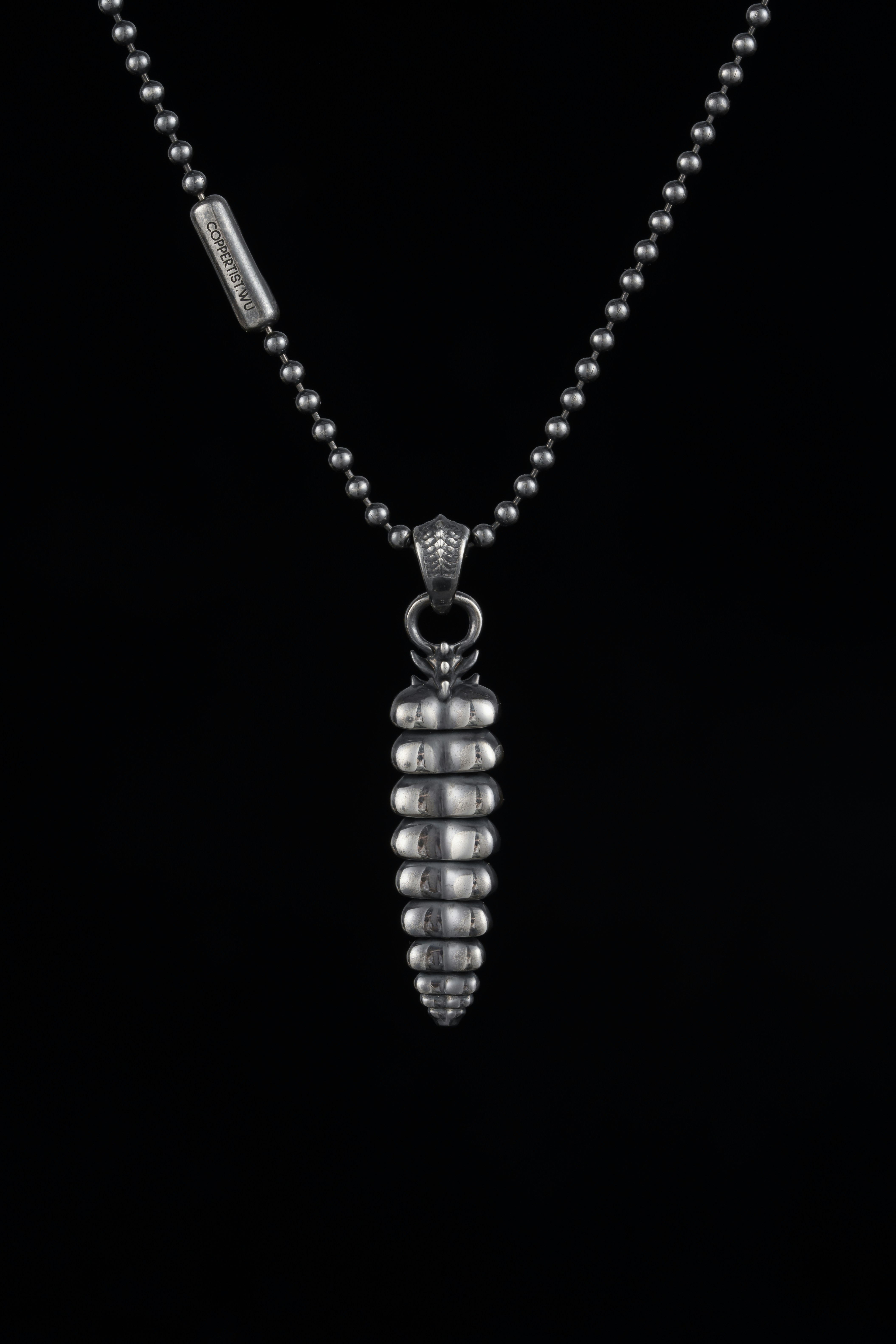 Photo by coppertistwu