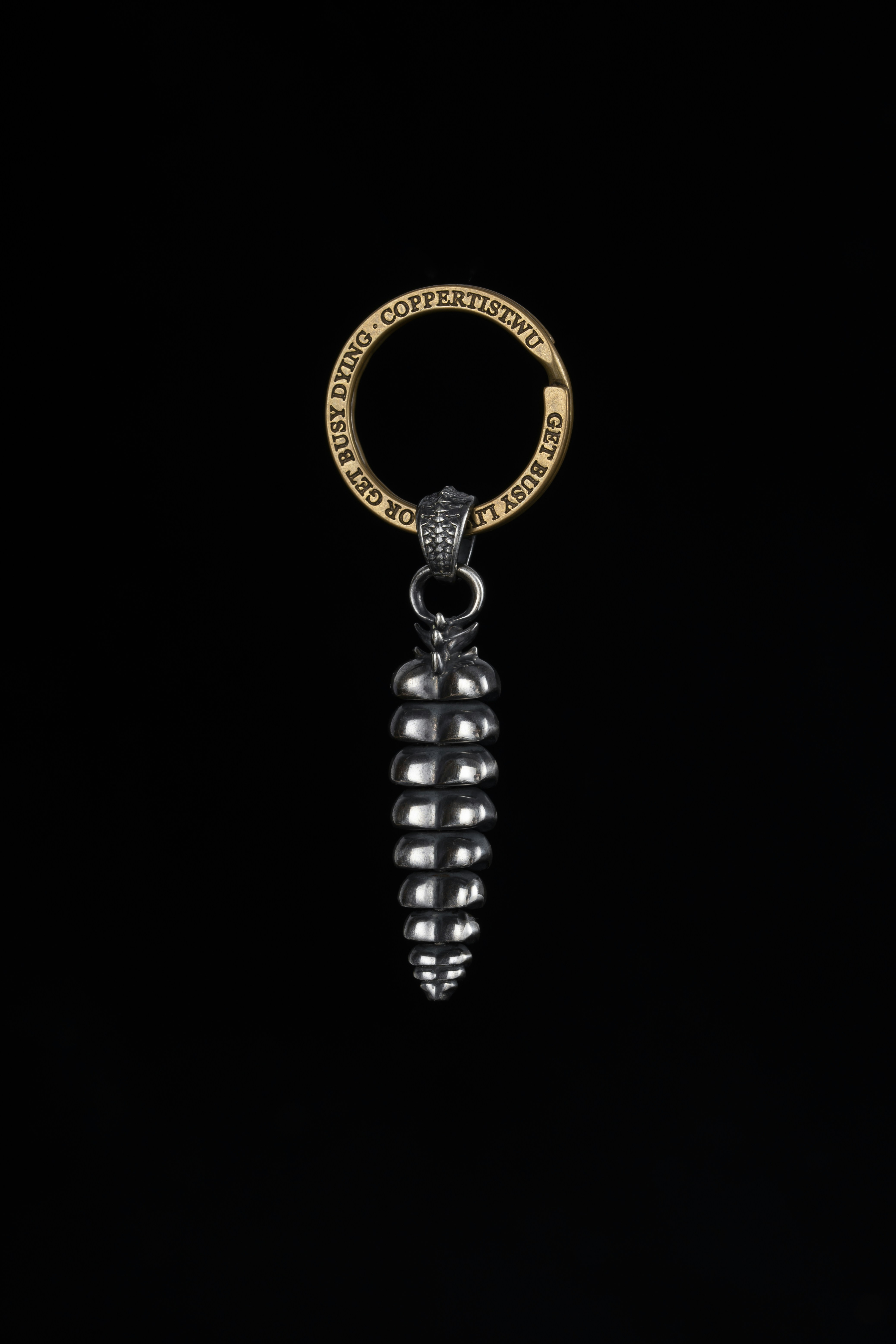 Photo by coppertistwu