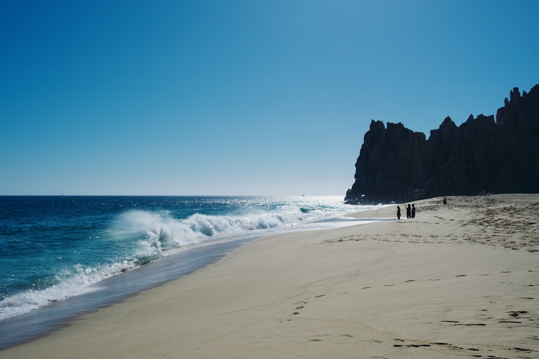 a couple of people walking along a beach next to the ocean,
