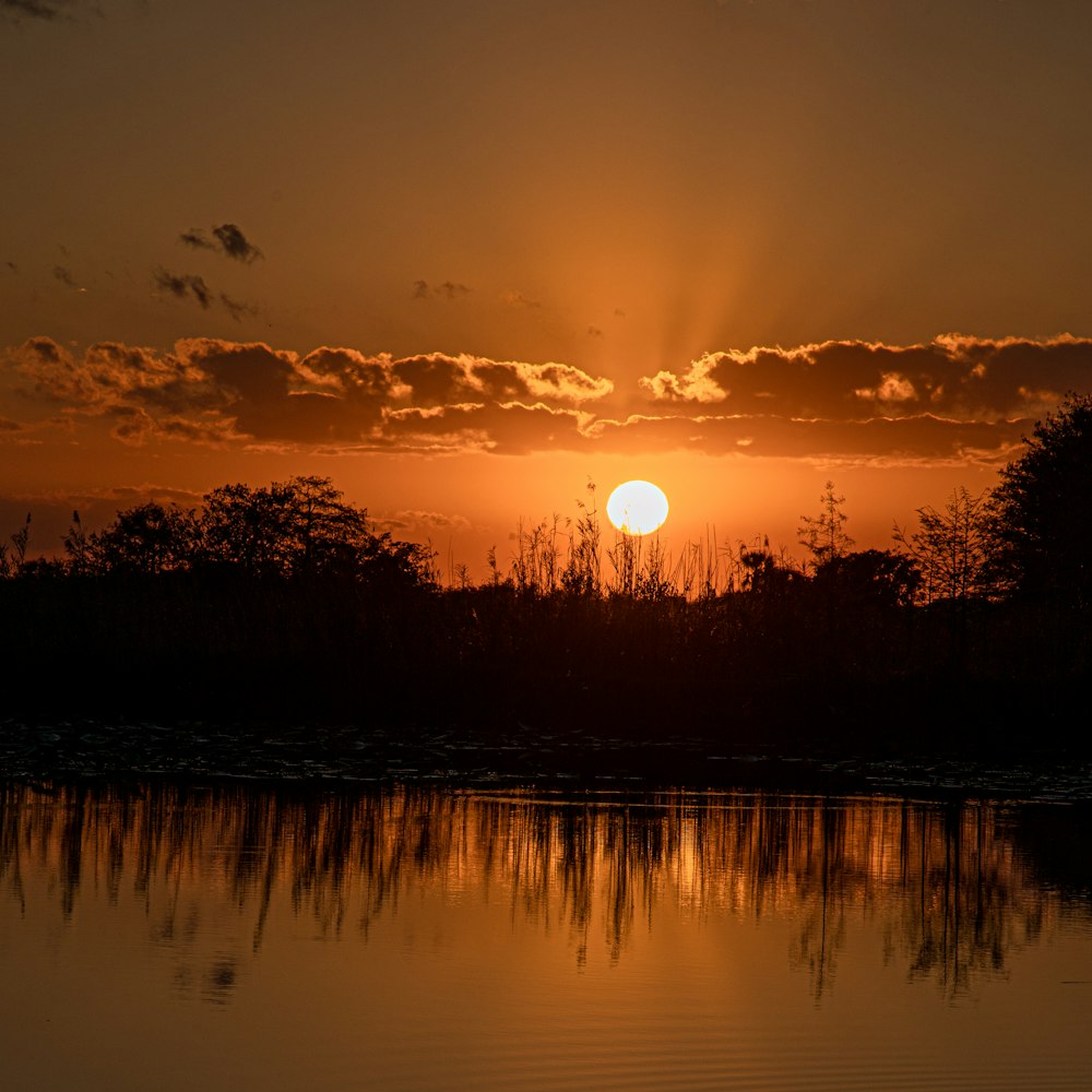 o sol está se pondo sobre as árvores e a água