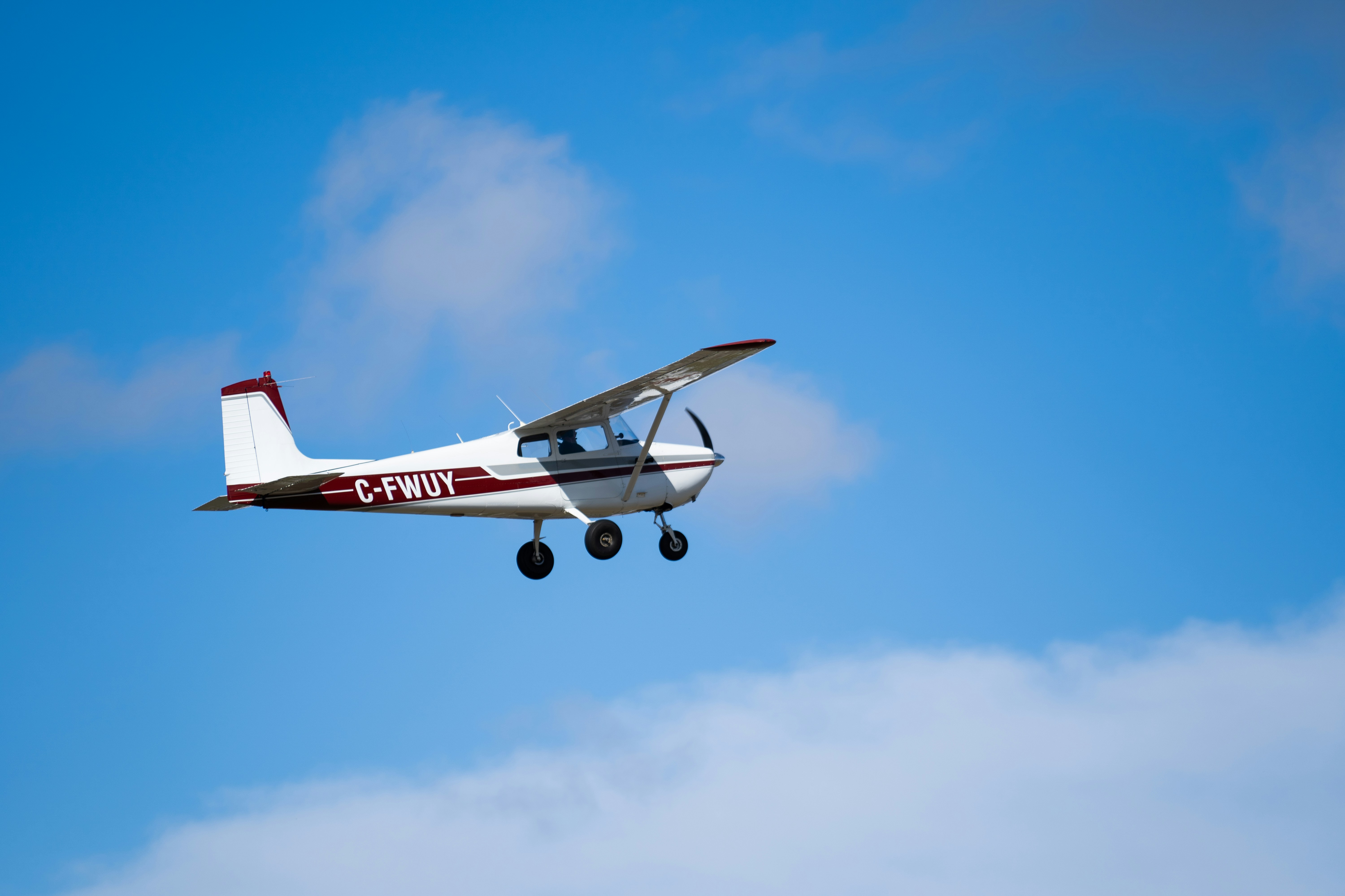 Photo by taylormortin