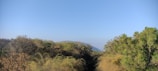 A panoramic view of a thriving agroforestry landscape under a clear blue sky