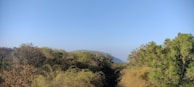 A panoramic view of a protected nature reserve with diverse ecosystems.