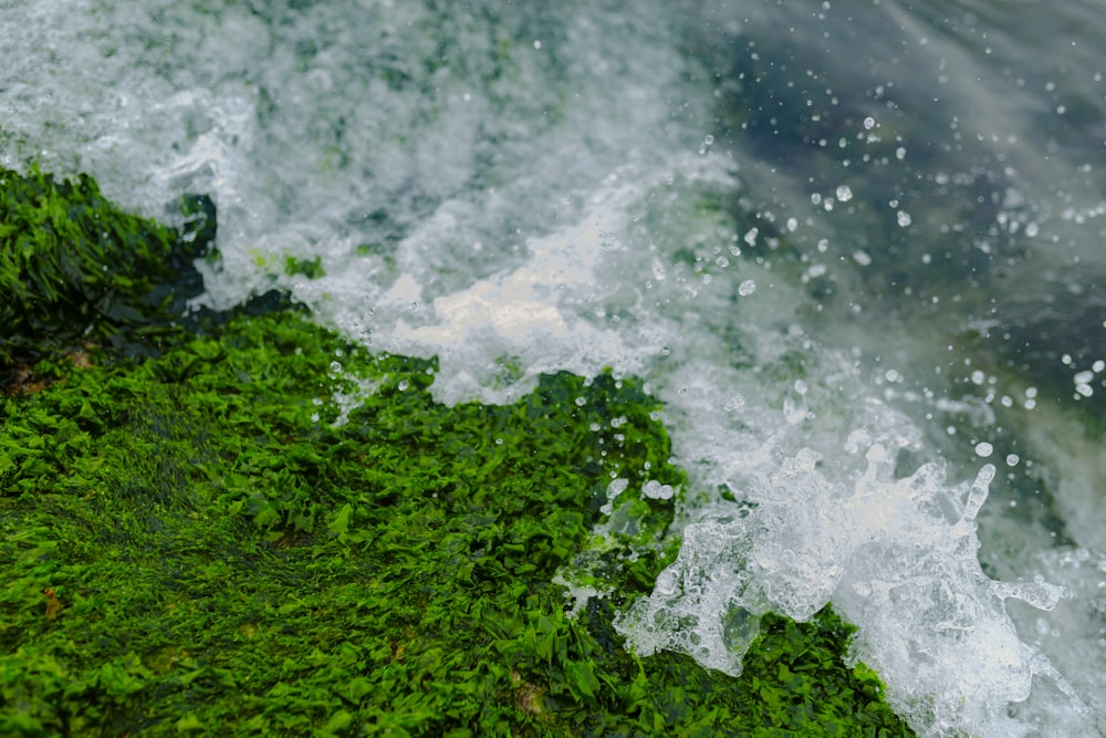 a close up of a wave crashing over a green rock