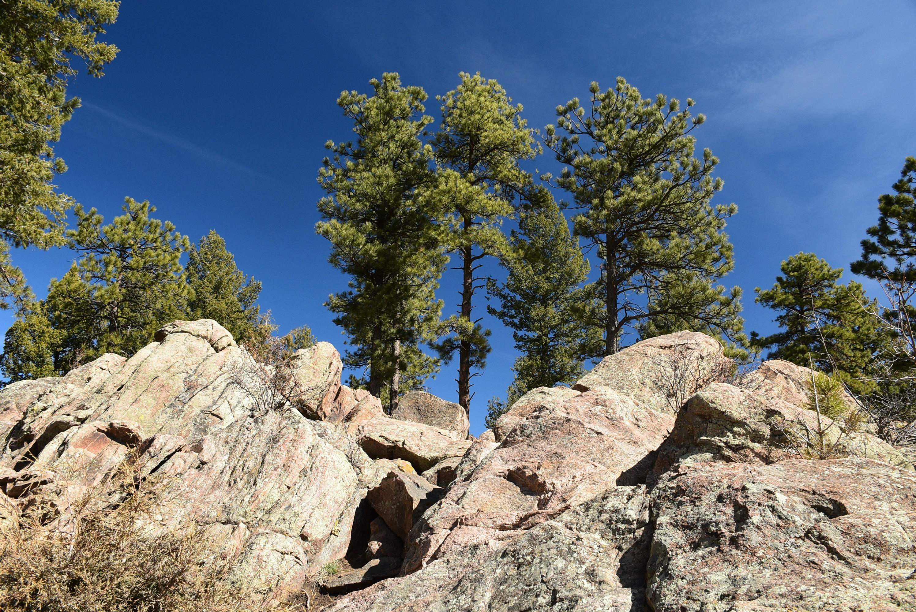 Students networking at an event