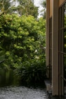 A serene garden view from the room window.