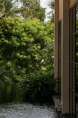 A serene view of the lush garden surrounding the hotel.