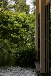 A serene garden view from the room window.