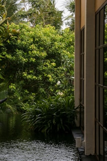 A serene garden view reflecting tranquility and beauty.