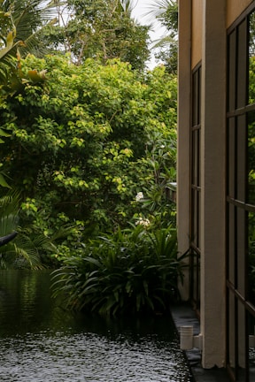 A serene view of the lush garden surrounding the hotel.