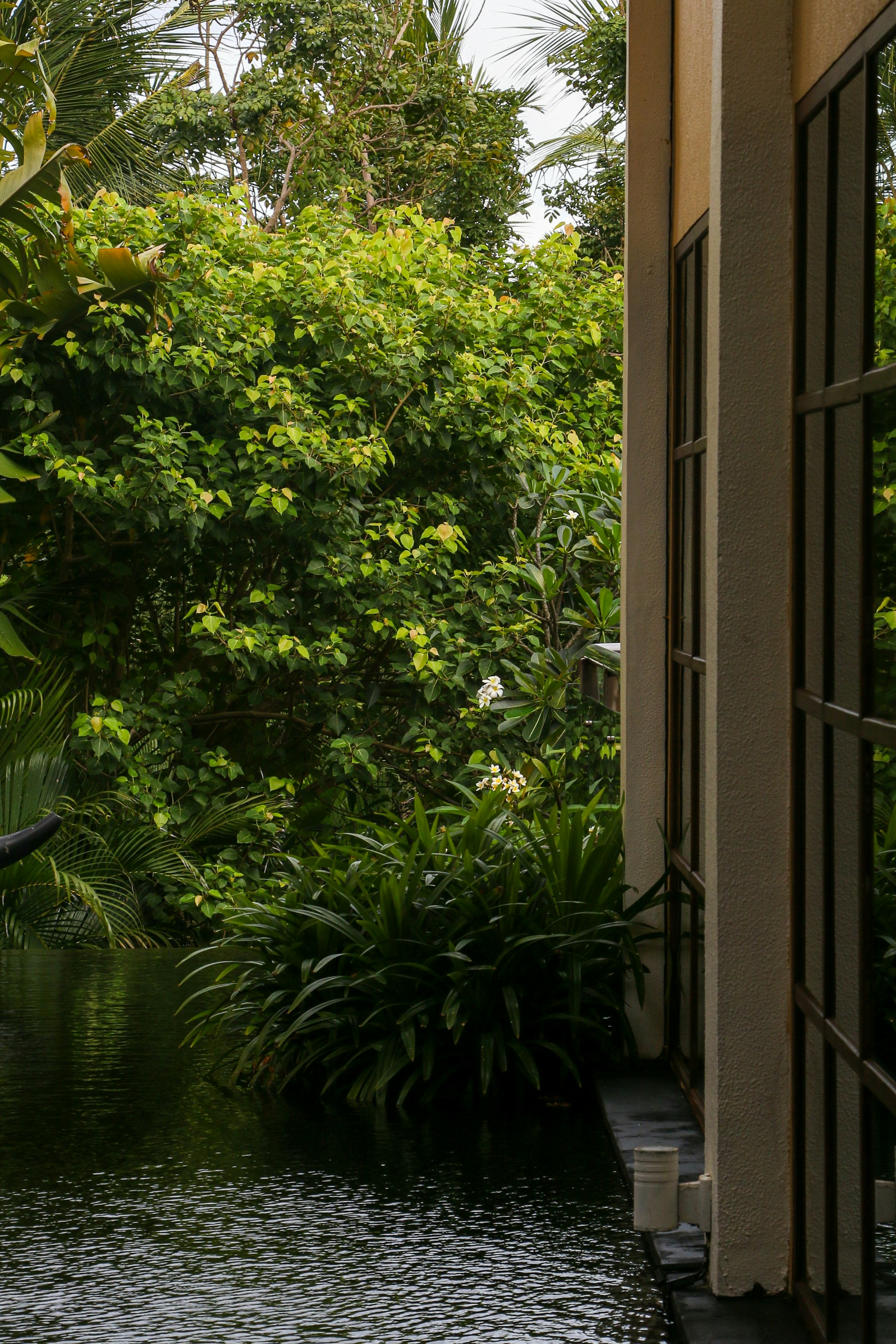 woman wearing yellow long-sleeved dress under white clouds and blue sky during daytime