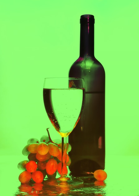 Sober Curious: Proč generace Z mění vztah Čechů k alkoholu