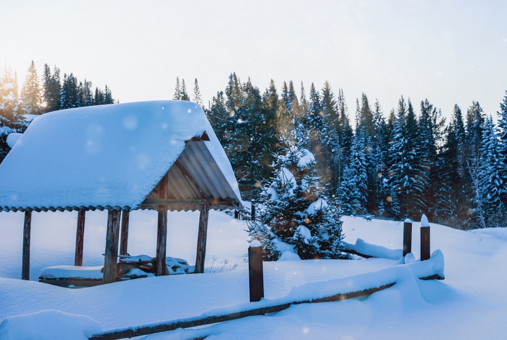 a cabin in the middle of a snowy forest