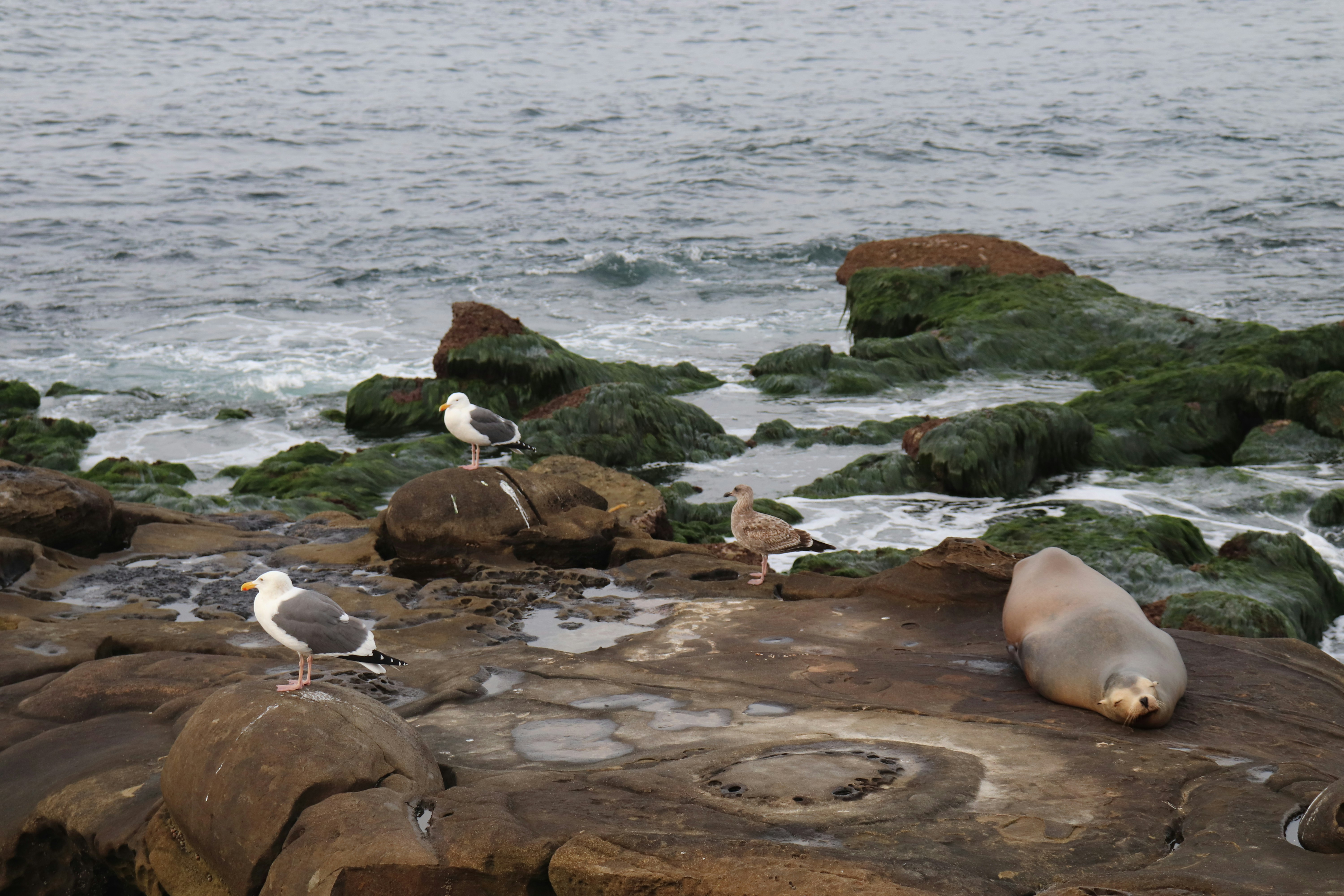 Photo by photo_diary_of_va