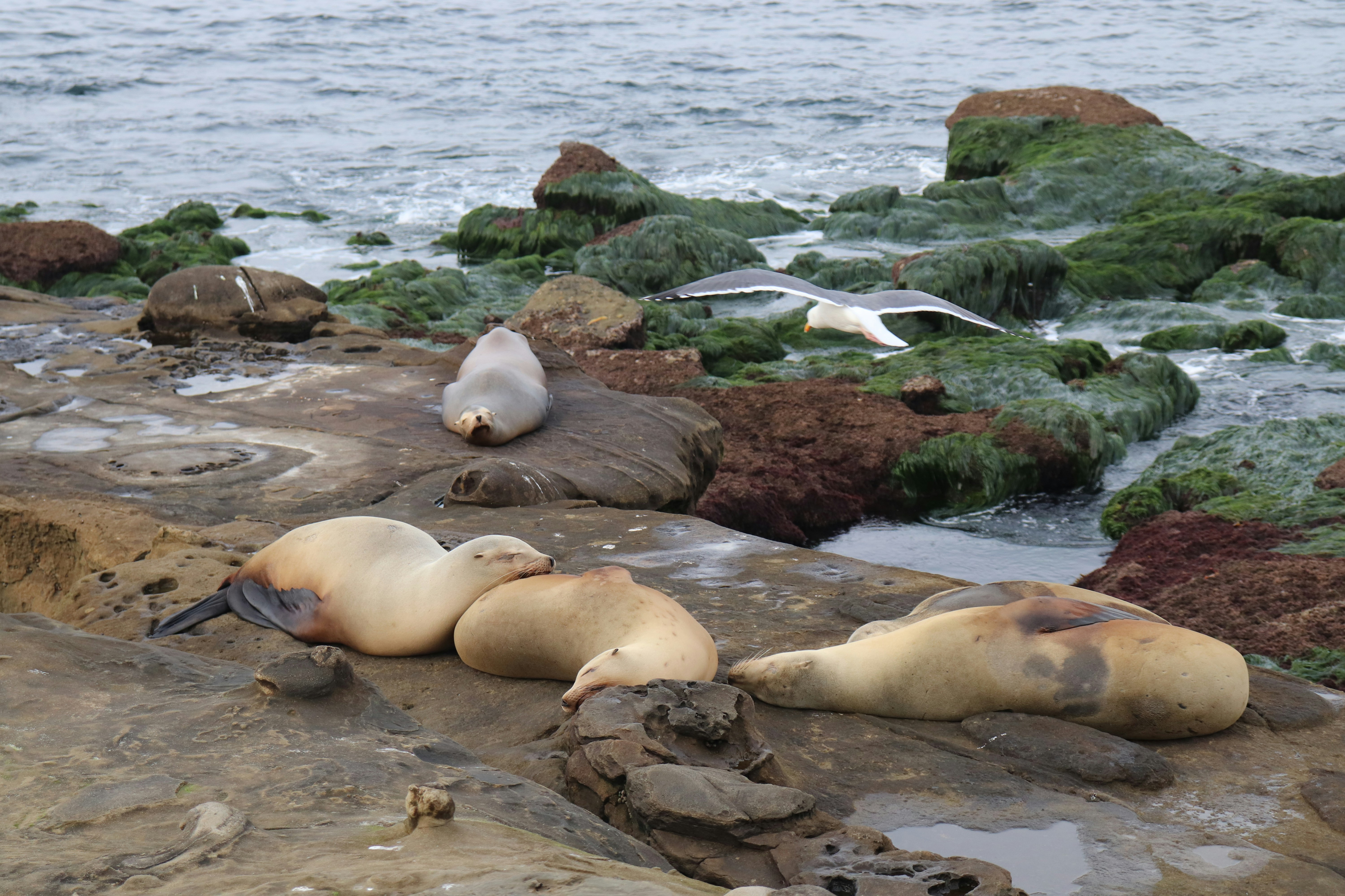 Photo by photo_diary_of_va