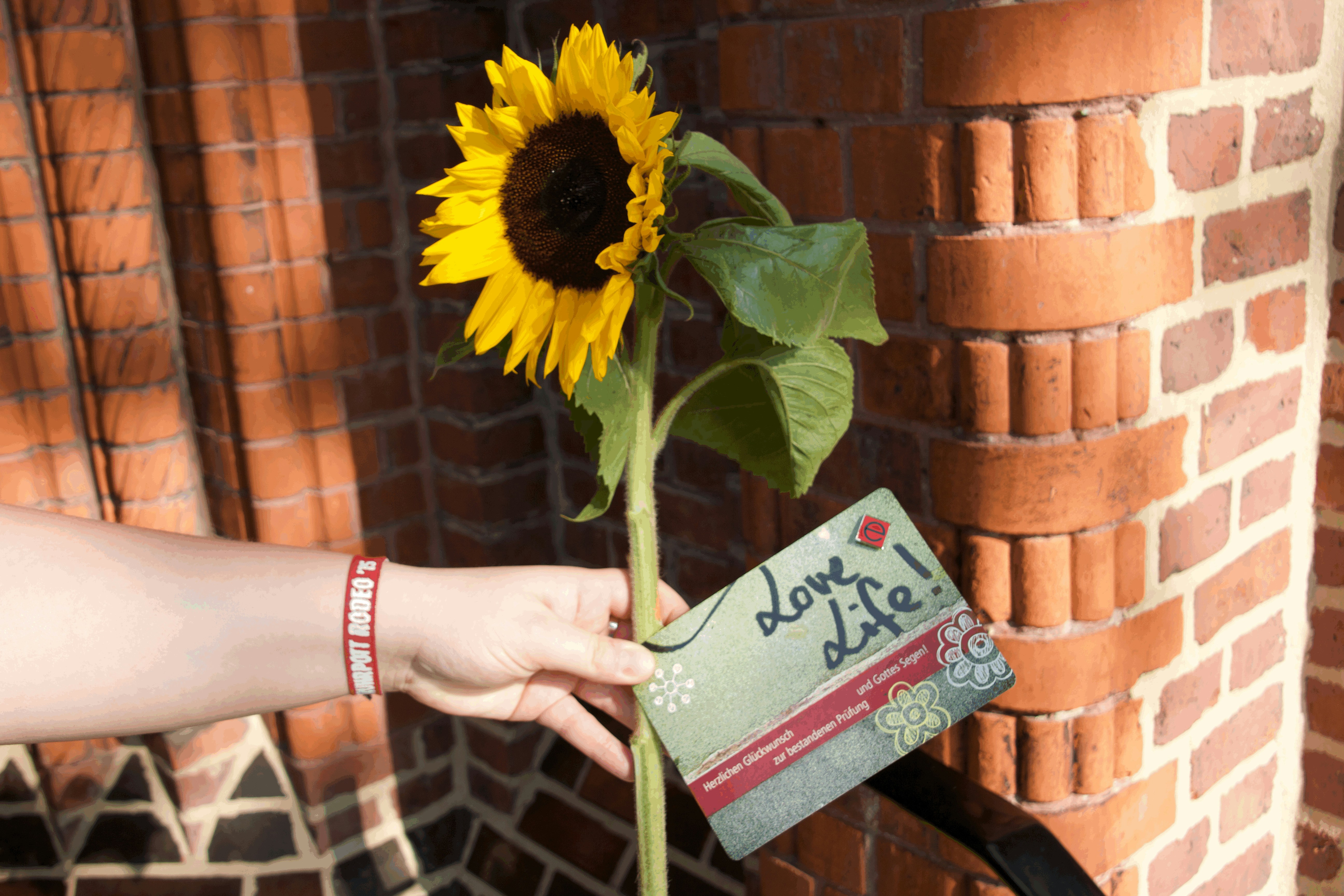 Relaxation Gift Cards
