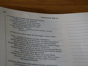 A close-up of a page from a Bible, specifically from the book of Isaiah, displaying verses with heading numbers at the top. The text is printed in black on an off-white page with blue chapter headings.