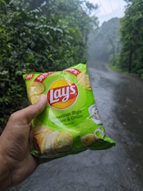A person is holding a packet of Lay's American Style Cream & Onion flavor potato chips. The packet is green with images of potato chips and onions on it. The background features a wet and misty road surrounded by lush green foliage.