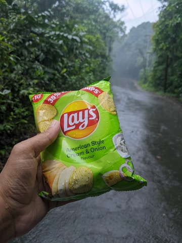 A person is holding a packet of Lay's American Style Cream & Onion flavor potato chips. The packet is green with images of potato chips and onions on it. The background features a wet and misty road surrounded by lush green foliage.