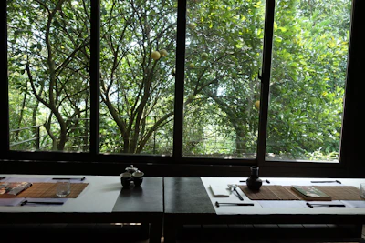 An elegant table setting at hikarizumi, featuring minimalist style and fresh sushi plates.