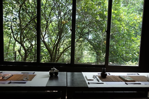 A sunlit dining table set with simple, elegant ceramics and fresh greenery, inviting connection and mindful meals.
