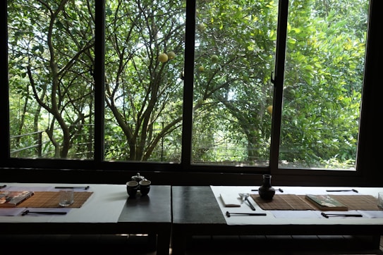 A table is set for dining, with placemats, chopsticks, and small dining vessels. The setting is minimalistic and elegant, with a view of lush green foliage outside a large window. Sunlight filters through the leaves, creating a serene and natural atmosphere.