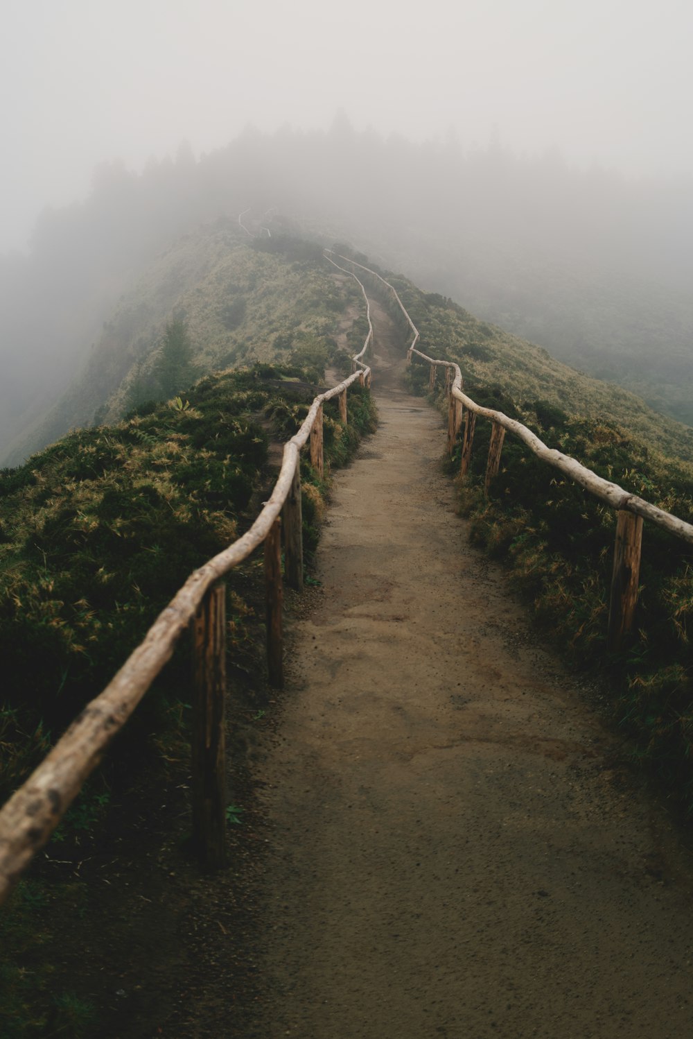 a foggy path leading to the top of a mountain