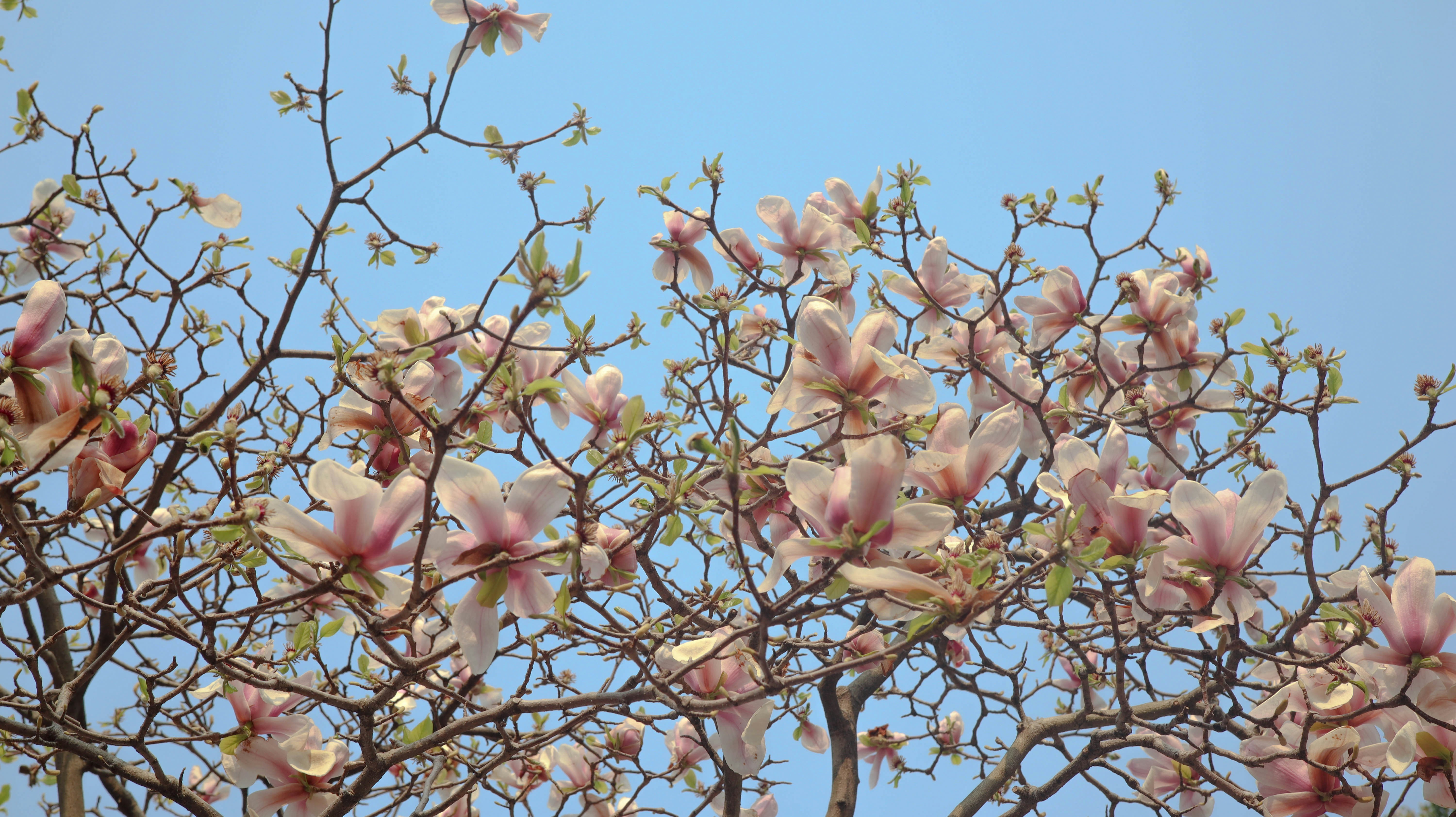 Photo by quinn_yikang