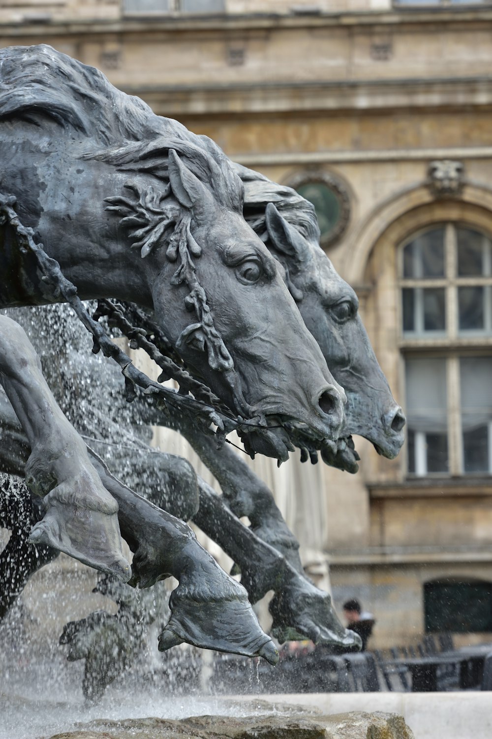 a couple of horses that are standing in the water