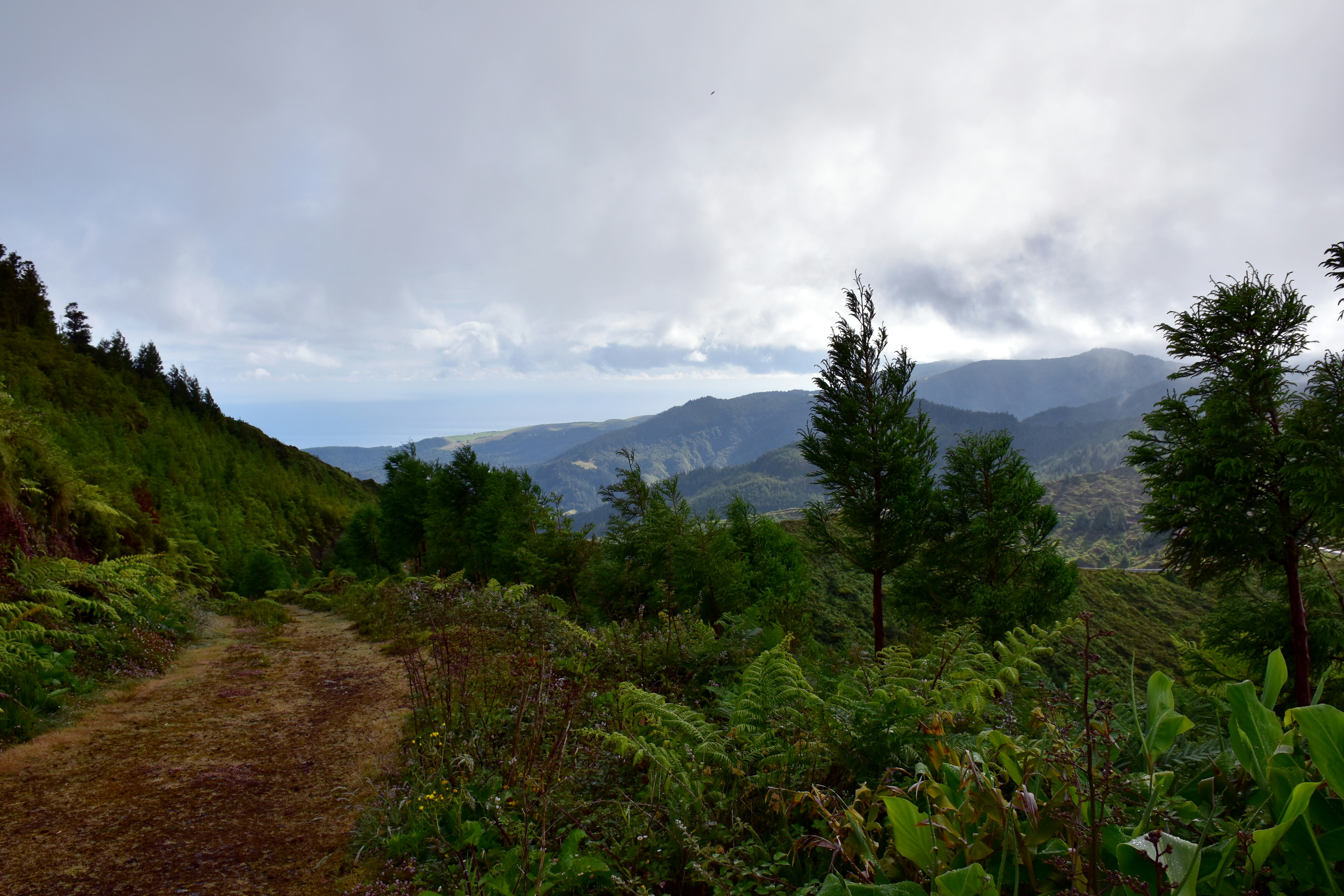 Scenic hiking trail in Maui with mountains