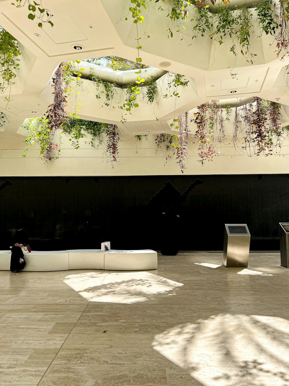 a room with a lot of plants hanging from the ceiling