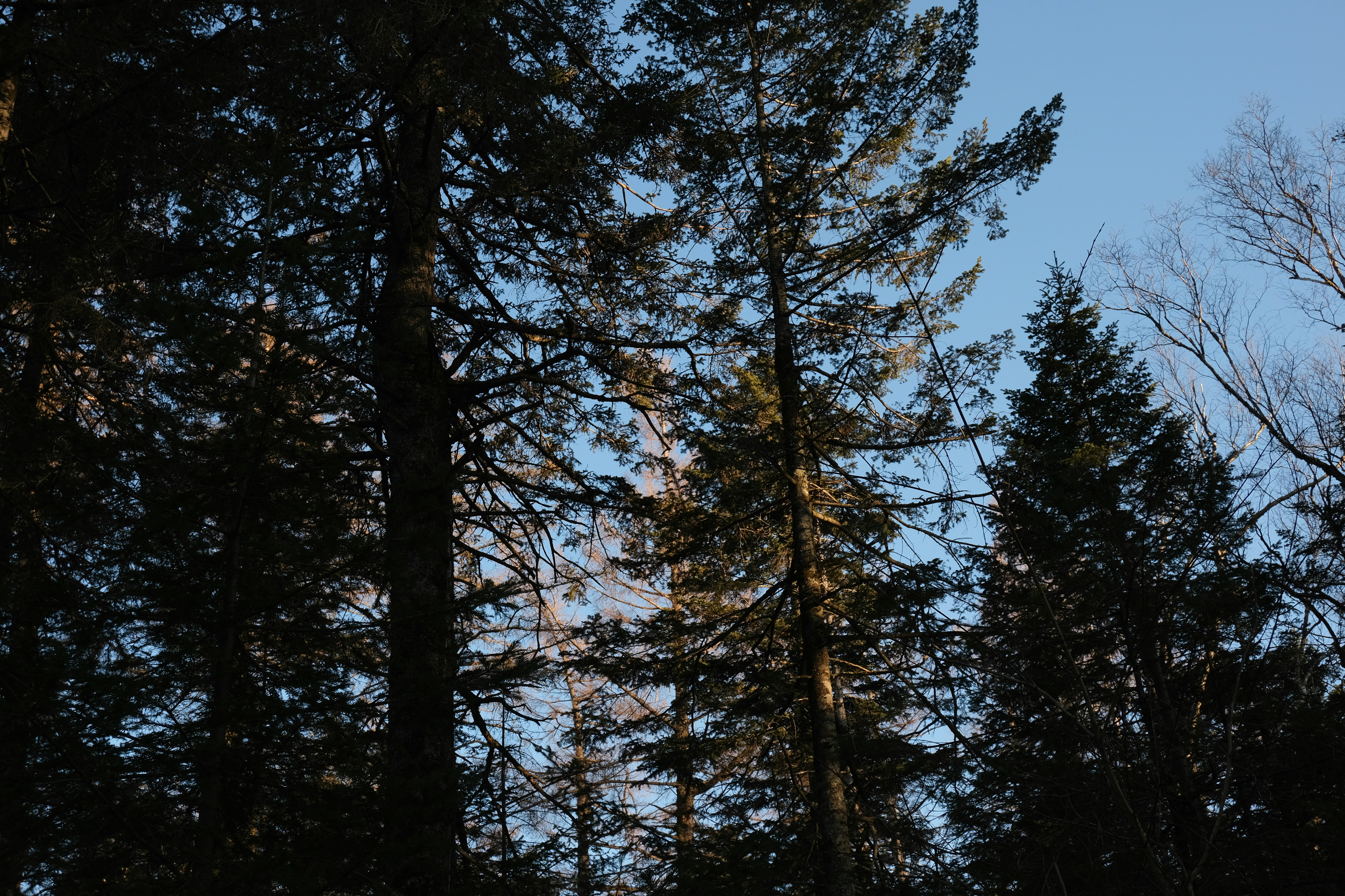 Photo by bangbangcheung