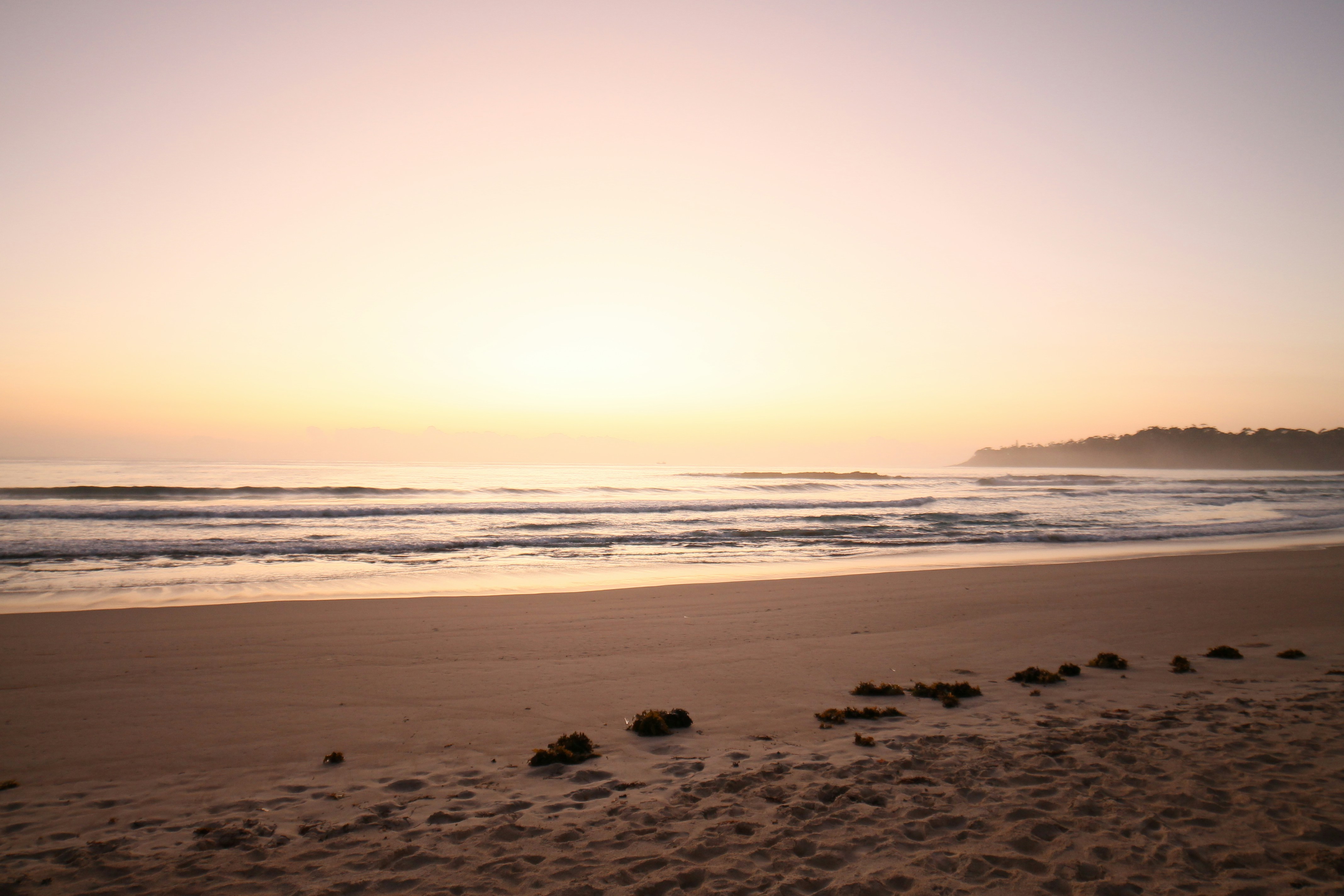 Photo by von_stalhein