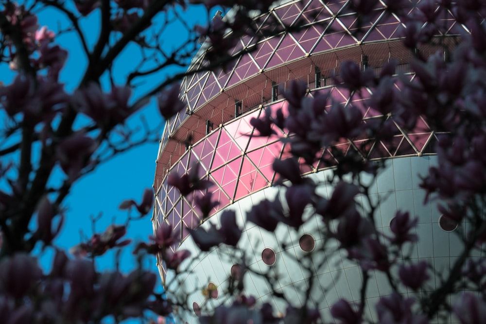 a building with purple flowers in front of it