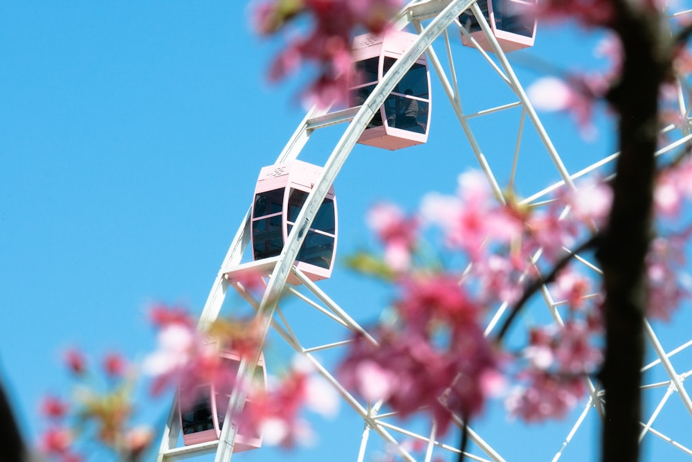 a ferris wheel with pink flowers in the background