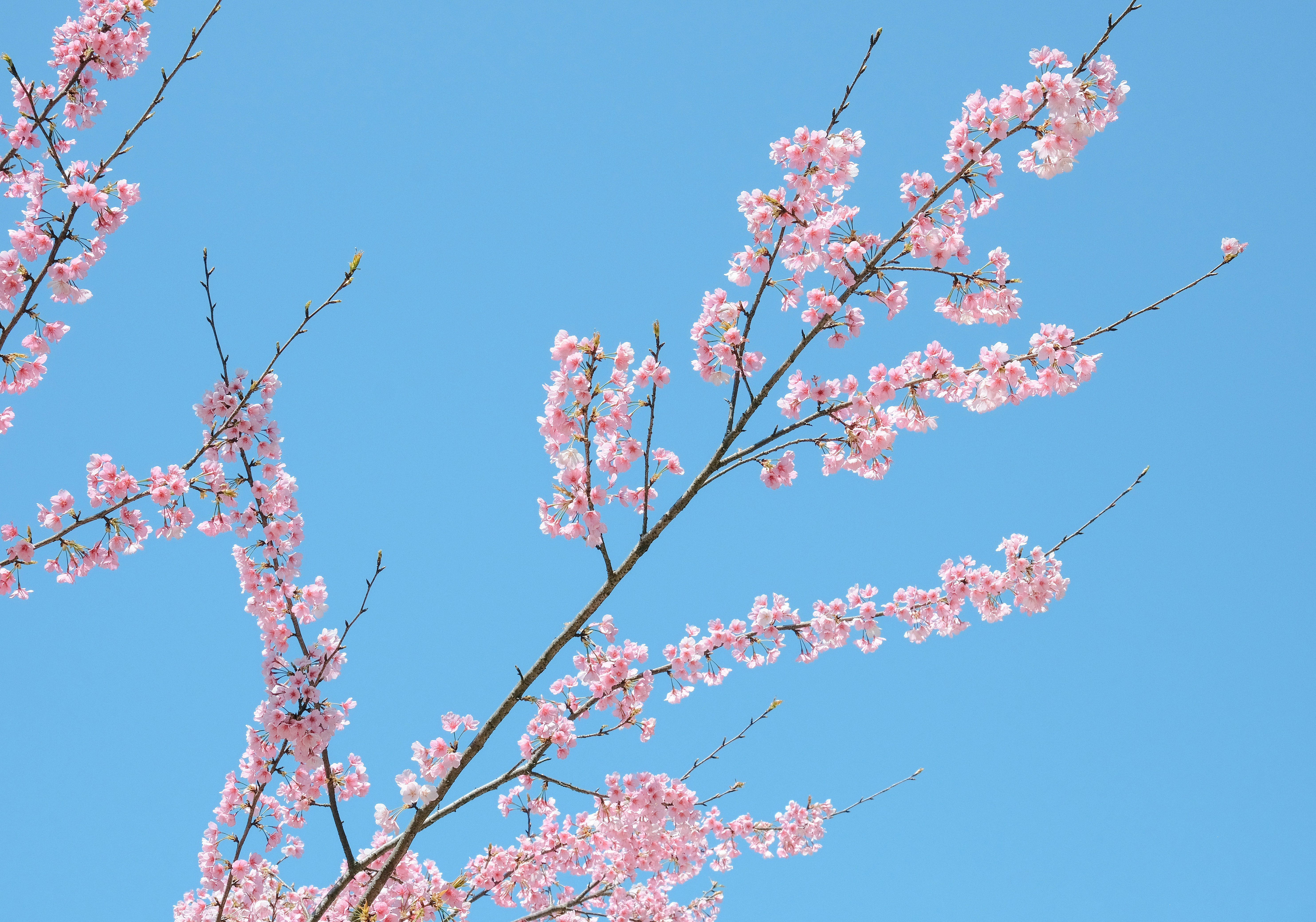 Photo by wenhao_ruan