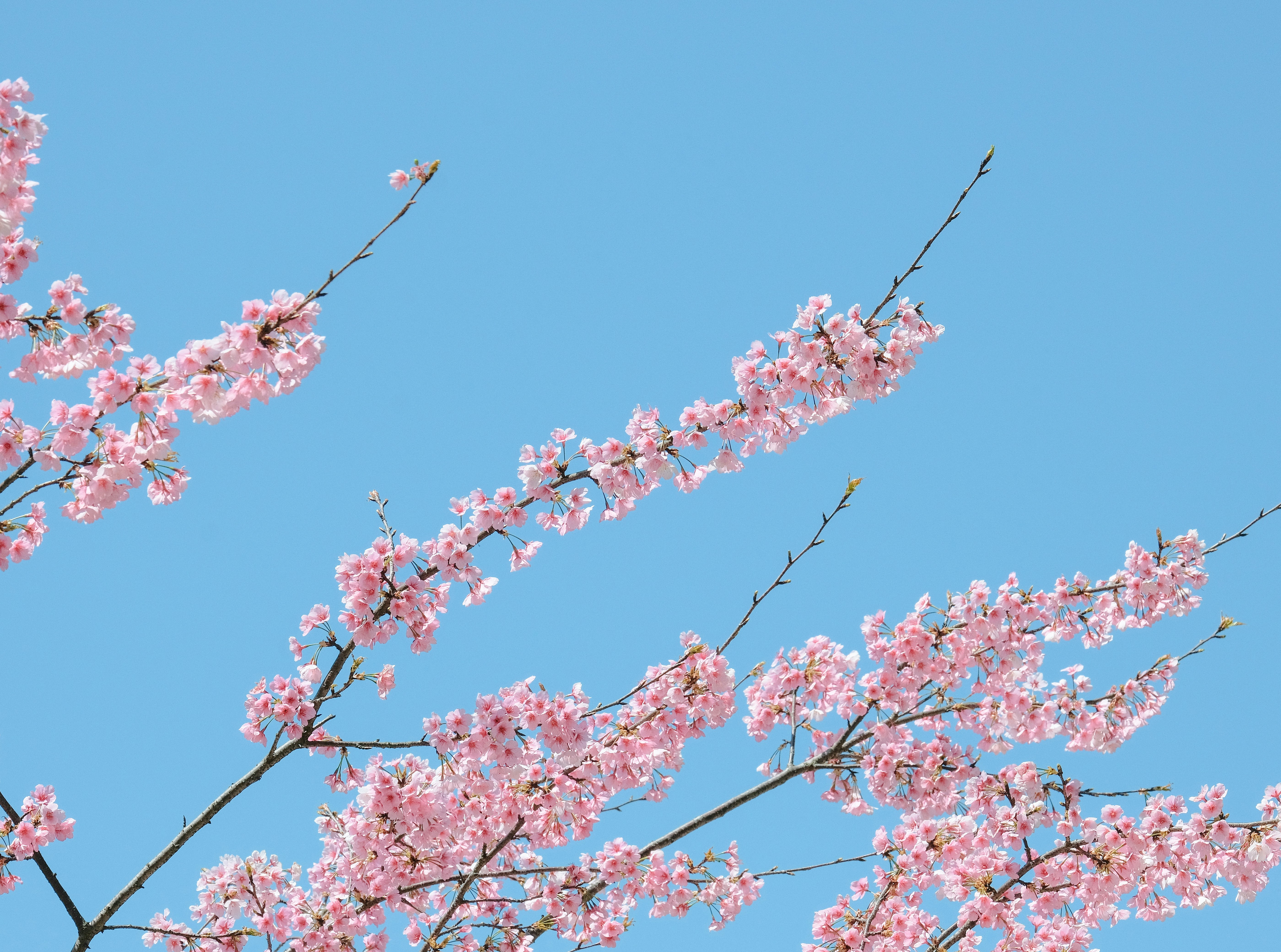 Photo by wenhao_ruan