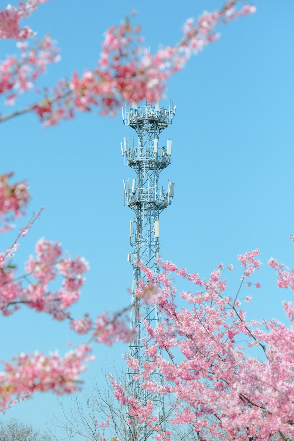 a cell phone tower surrounded by pink flowers