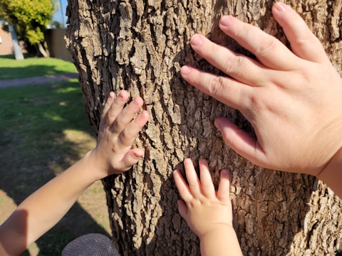 A large tree trunk with textured bark has three hands of varying sizes placed against it. The hands belong to an adult and two children. Sunlight creates shadows, enhancing the texture of the bark. In the background, a grassy area and some trees are partially visible.