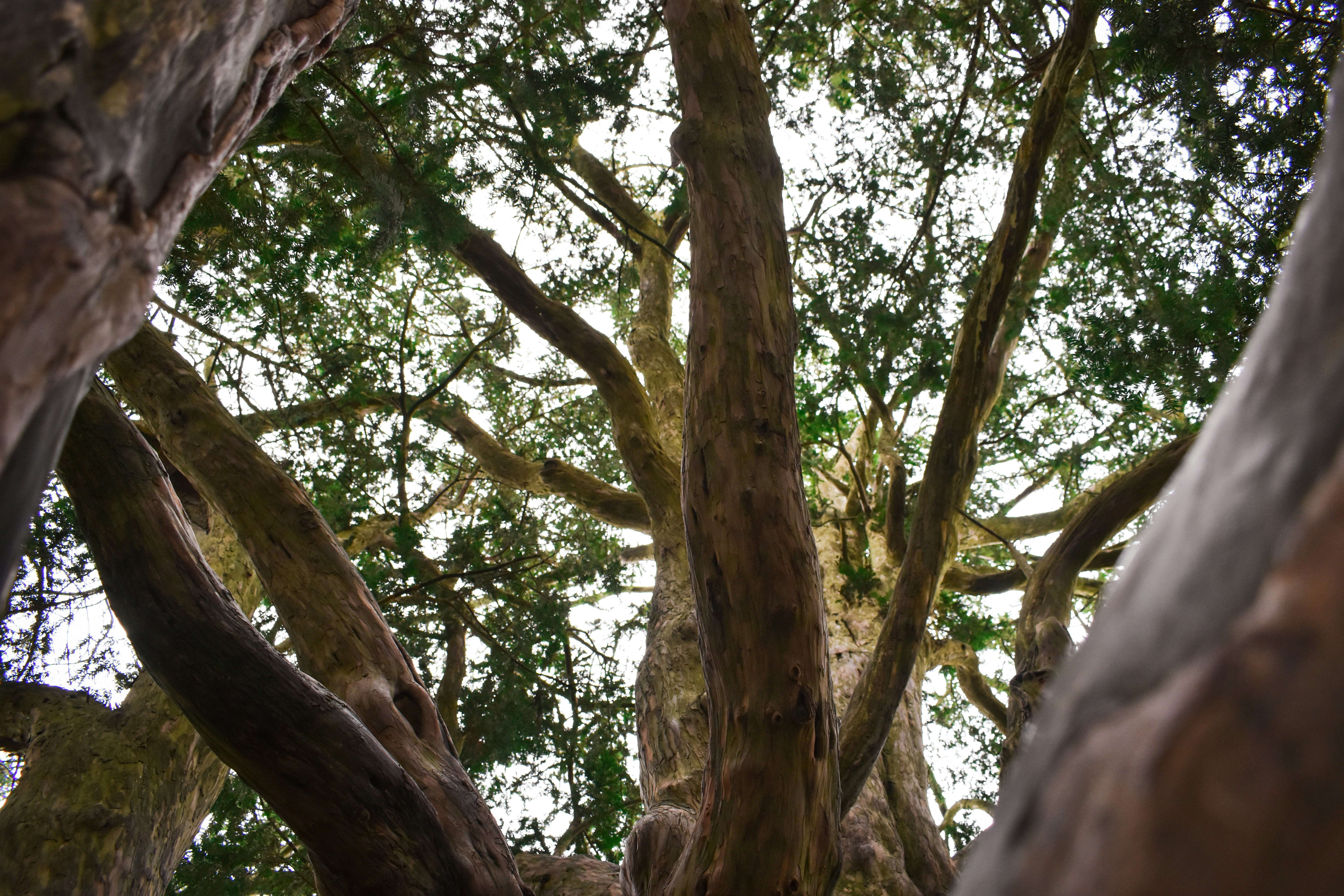 Photo by gracephotography