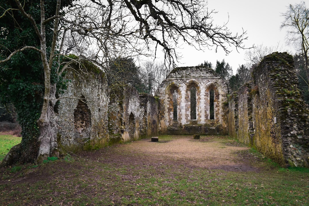 a stone building with a tree in front of it,