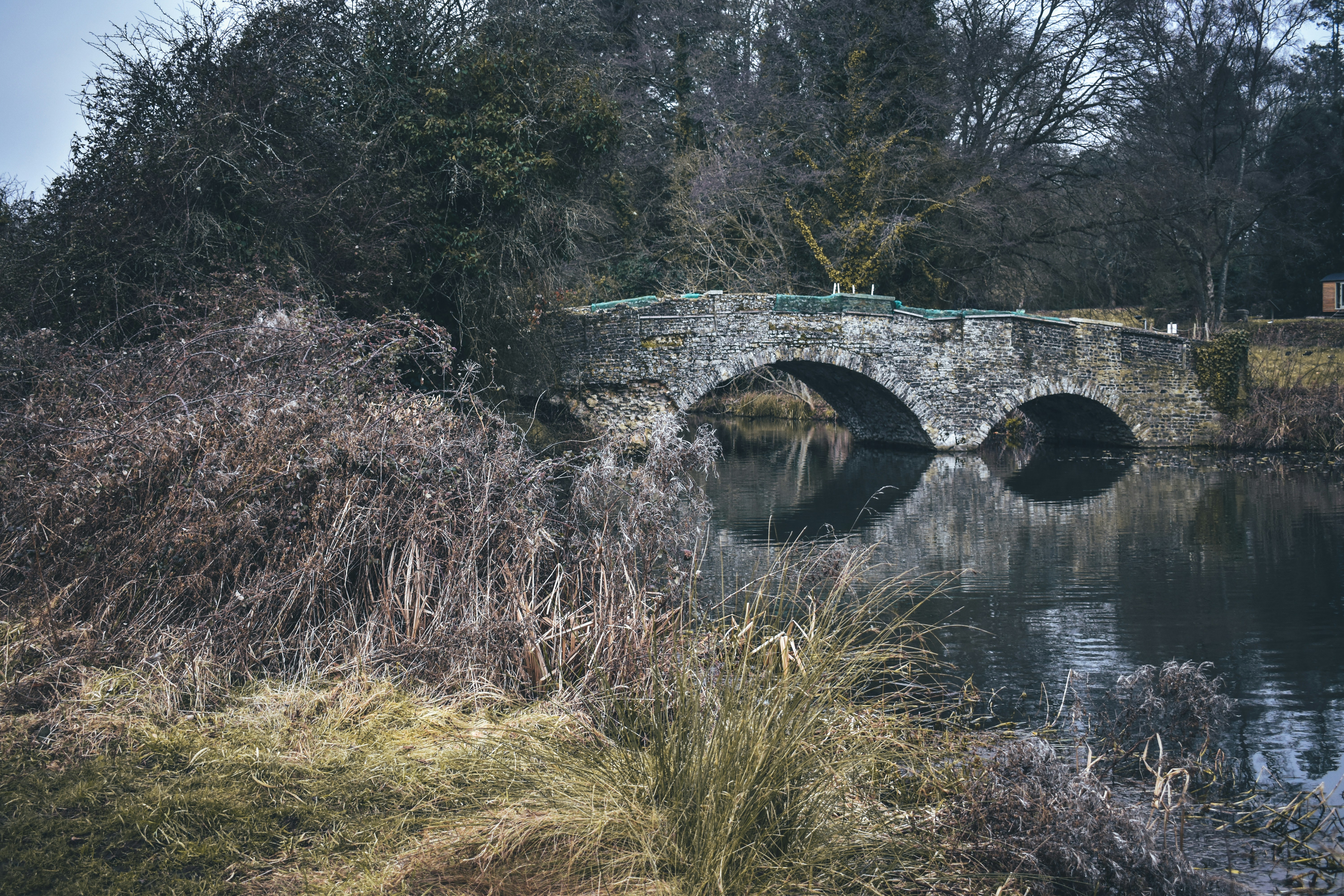 Photo by gracephotography